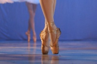 Audition for ballet dancers season 2013-14